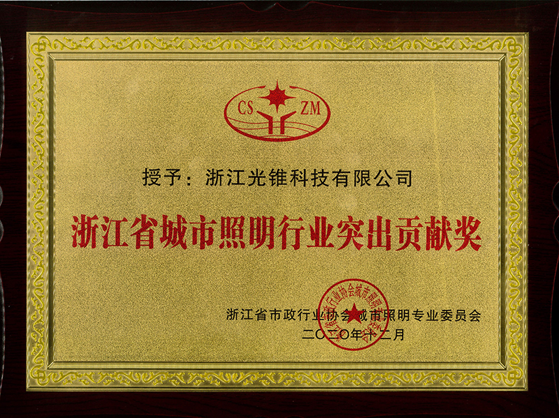 Outstanding Contribution Award of Zhejiang Urban Lighting Industry